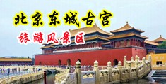 爆操骚货外国人中国北京-东城古宫旅游风景区