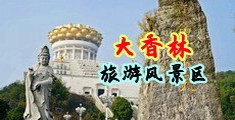 插逼逼好爽视频中国浙江-绍兴大香林旅游风景区